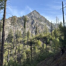 Vincent DiFrancesco - Illinois River Trail (OR)