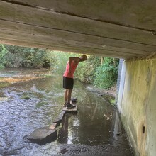 Suzanne Stevens, Phil Stevens - Welwyn Garden City Circular Walk (United Kingdom)