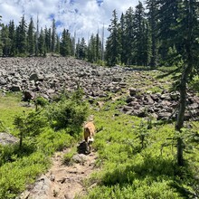 Courtney Clifton - Black Mountain Loop (CO)