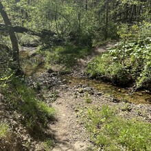 Heather DeRose, Antonio DeRose - Binder Park Trails Challenge (MO)