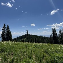 Courtney Clifton - Black Mountain Loop (CO)