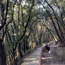 Gabriel Gariépy, France Brûlé - Scala Fenicia / Phoenician Steps (Italy)