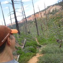 Marcy Beard - Bryce Canyon Traverse (UT)