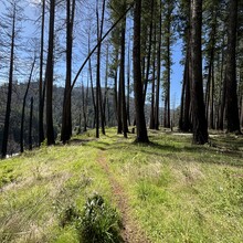 Vincent DiFrancesco - Illinois River Trail (OR)