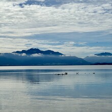 Christine Pfleger - Chiemsee Umrundung (Germany)