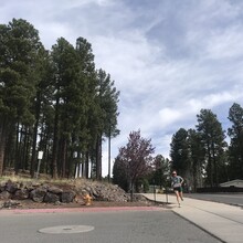 Erica Rackley - Flagstaff Loop Trail (AZ)