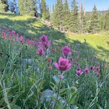 Courtney Clifton - Big Marvine Loop (CO)