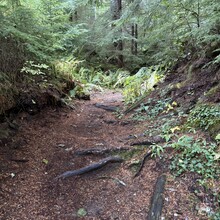 Caroline Corcoran - McClellan Butte (WA)