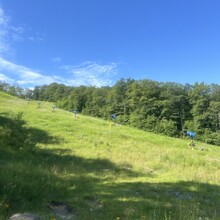 Justin Lewandowski - The Alpine Slide (NJ)