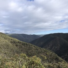 Matthew Crehan - Wild Wombat Loop (VIC, Australia)