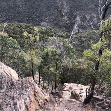 Matthew Crehan - Wild Wombat Loop (VIC, Australia)