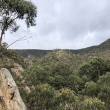 Matthew Crehan - Wild Wombat Loop (VIC, Australia)