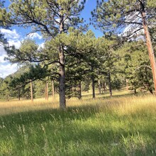 Rosa Kwak - Mesa Trail (Boulder, CO)