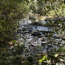 Jacob Myers - Chattooga River Trail to Fork Mountain to Foothills Trail Loop