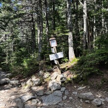 Jackson Yip - Joe Dodge Traverse (Mount Washington Double Traverse)