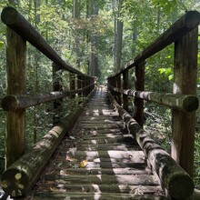 Jacob Myers - Chattooga River Trail to Fork Mountain to Foothills Trail Loop