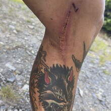 Cody Taylor - Sentier International des Appalaches-Québec GR A1 (QC, Canada)