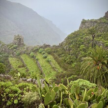 Michael Whittemore, Caitlin Ellenby - Camino Natural de las Cumbres de La Gomera (GR131) (Canary Islands)