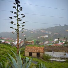 Michael Whittemore, Caitlin Ellenby - Camino Natural de las Cumbres de La Gomera (GR131) (Canary Islands)