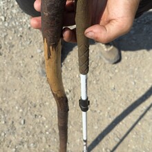 Cody Taylor - Sentier International des Appalaches-Québec GR A1 (QC, Canada)