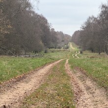 Ben Morris - St Edmund Way
