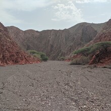 Patrick Crile - Trail D'Arta (Djibouti)