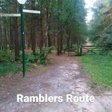 Wayne Cousens - Bracknell Forest Ramblers Route (United Kingdom)