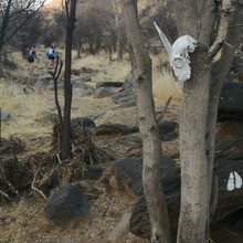 Julie Mbaisa, Jacques Van Der Smit, Maritjie De Plesiss - Khomas Hochland Hiking Trail (Namibia)