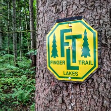 Mark Valites - Finger Lakes Trail (NY)