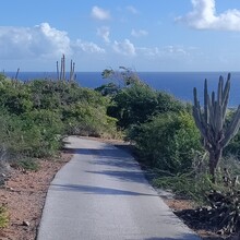 , Pamela Cayer - Christoffel Mountain Loop (Curaçao)