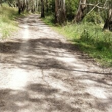 Jack Cooper - Three Creeks Trail Loop (VIC, Australia)