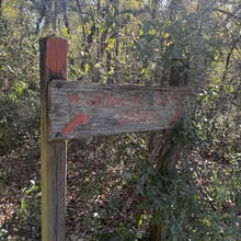 Aryan Rochon - Bear and Boar 444