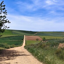 Matěj Švec - Camino de Santiago - Camino Francés (Spain)