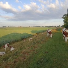 Erikjan Cuperus - Markermeer Loop (Netherlands)