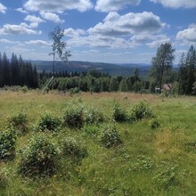 David Eriksson - Skifsenleden @ Fredriksberg Dalarna (Sweden)