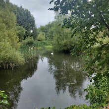 Lyuba Bozhilova - Oxford Green Belt Way (United Kingdom)