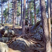 Jonathan Lowe - Tiveden National Park (Sweden)