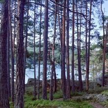 Jonathan Lowe - Tiveden National Park (Sweden)