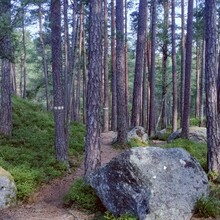 Jonathan Lowe - Tiveden National Park (Sweden)