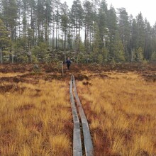 Jonas Myhre Christiansen, Espen Øybø - Finnskogrunden (Norway)
