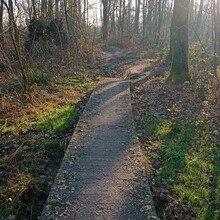 Sam Jelfs - Graaf van Hornepad