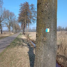 Sam Jelfs - Graaf van Hornepad