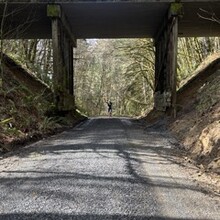 Bea Myre - Banks-Vernonia-Crown-Zellerbach (BVCZ) Trail (OR)