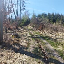 Raoul Jankowski - Briloner Kammweg (Germany)