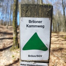 Raoul Jankowski - Briloner Kammweg (Germany)