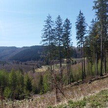 Raoul Jankowski - Briloner Kammweg (Germany)