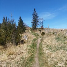 Raoul Jankowski - Briloner Kammweg (Germany)