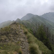 Luca Felicetti - Bersntol ring (Italy)