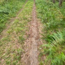 Aleksei Grabtchak - Meikon kierros