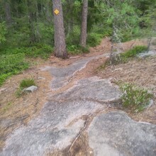 Aleksei Grabtchak - Meikon kierros